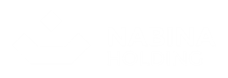 Nabina Holding